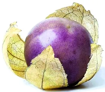 Tomatillo - Purple