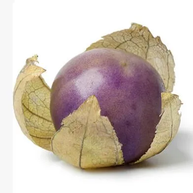 Tomatillo - Purple