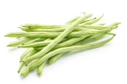 Bean - Slenderette Green Bean (Bush)