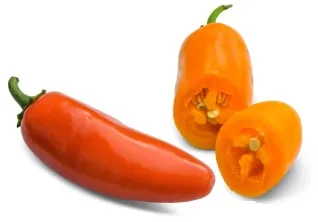 Pepper - Jalapeno Orange (Hot)