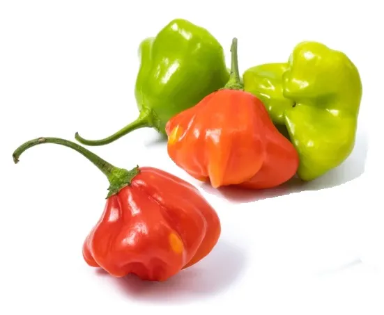 Pepper - Cambuci Brazilian Pepper (Med-Hot)