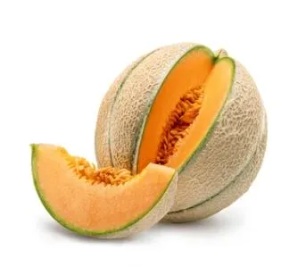Melon - Hearts of Gold Cantaloupe