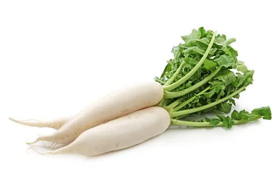 Radish - Daikon