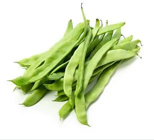 Bean - Roma II, Bush Bean