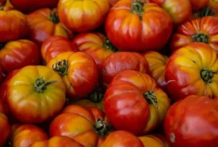 Tomato - Big Rainbow Striped (Beefsteak Variety)