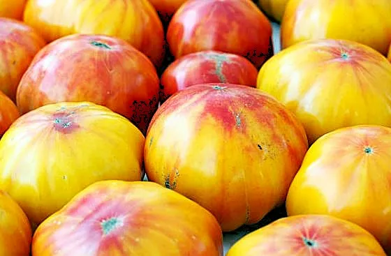 Tomato - Big Rainbow Striped (Beefsteak Variety)