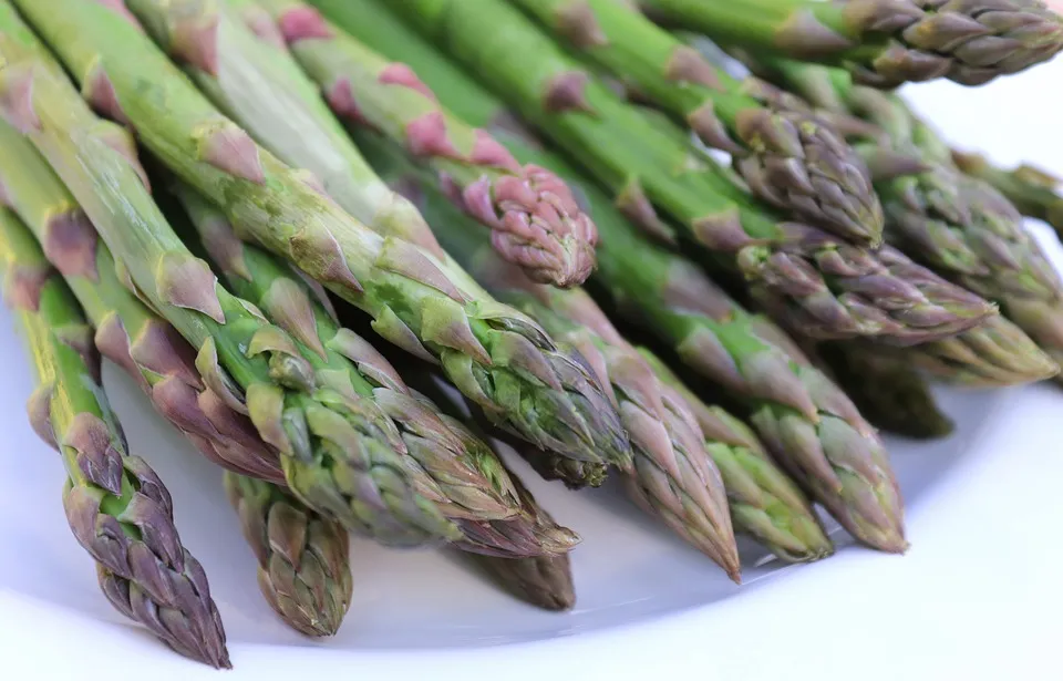 Asparagus - Mary Washington